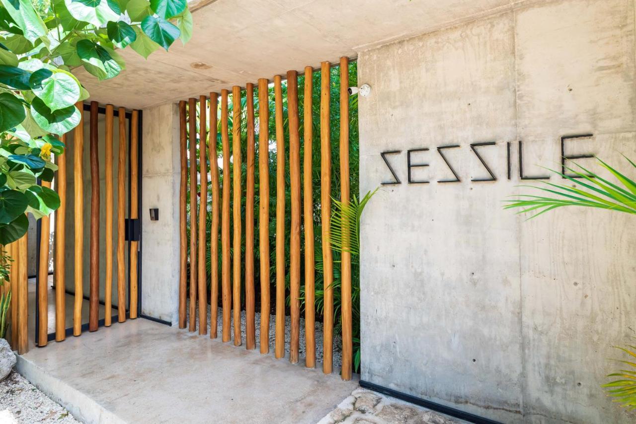 Luxury Apartament With Private Plunge Pool - Ground Floor ตูลุม ภายนอก รูปภาพ
