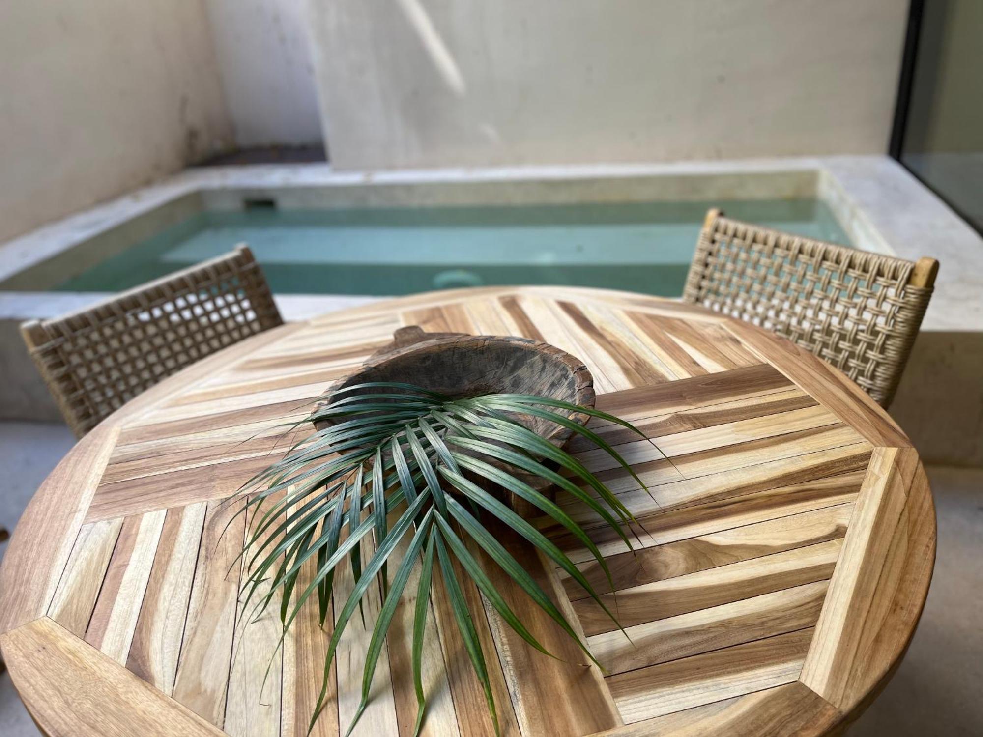 Luxury Apartament With Private Plunge Pool - Ground Floor ตูลุม ภายนอก รูปภาพ